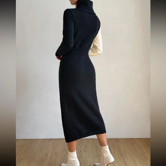 NWOT Privé Color Block Turtleneck Sweater Dress - Picture 3 of 6